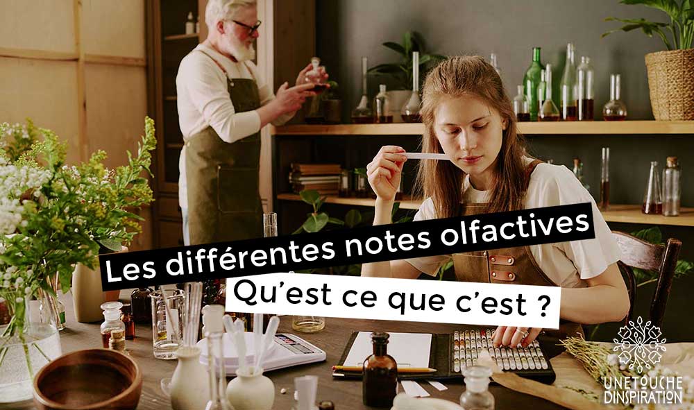 Comprendre les notes olfactives : Tête, Cœur, Fond - Guide essentiel des parfums