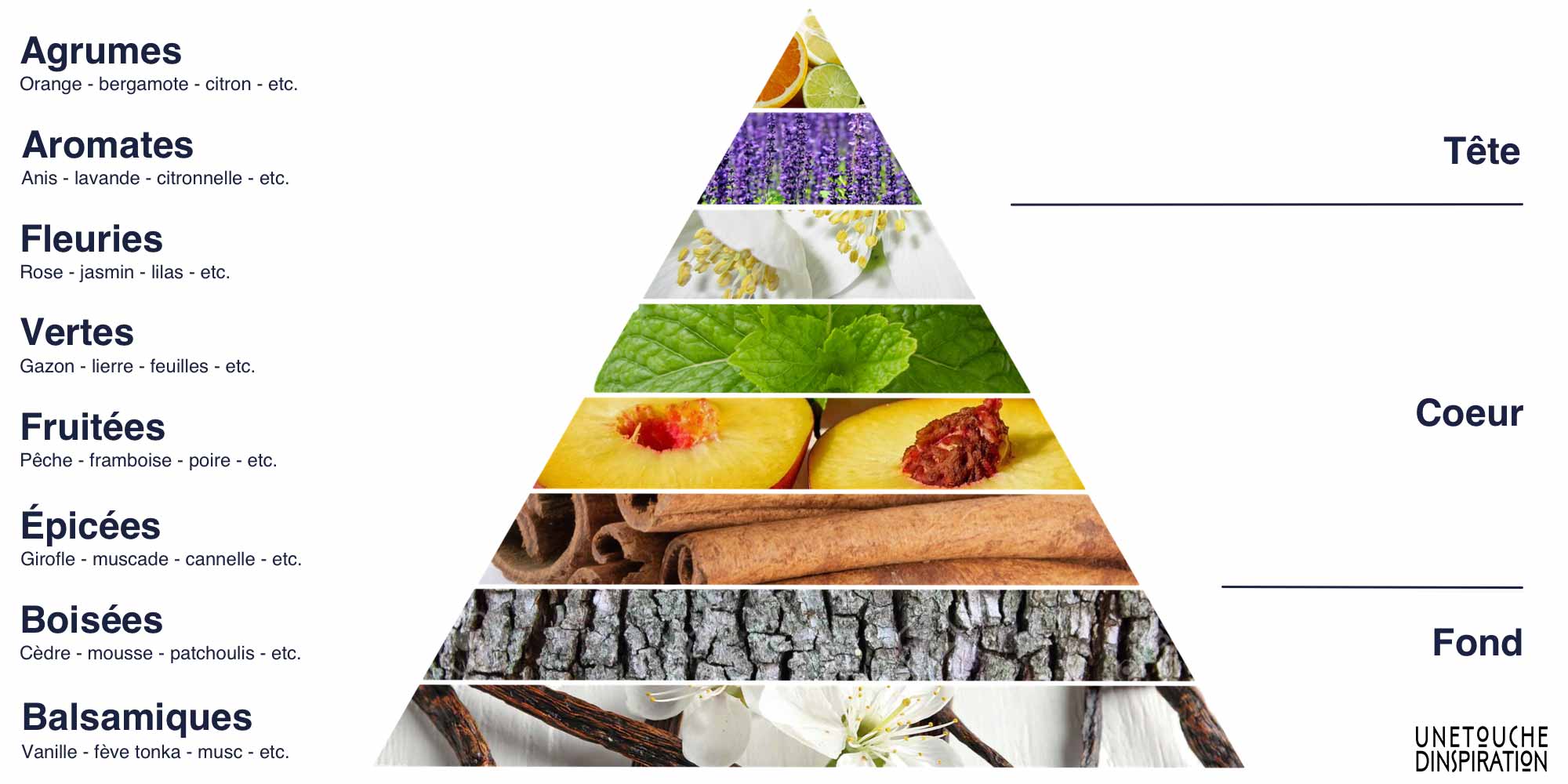 Explication des Différentes Notes Olfactives - La Pyramide olfactive