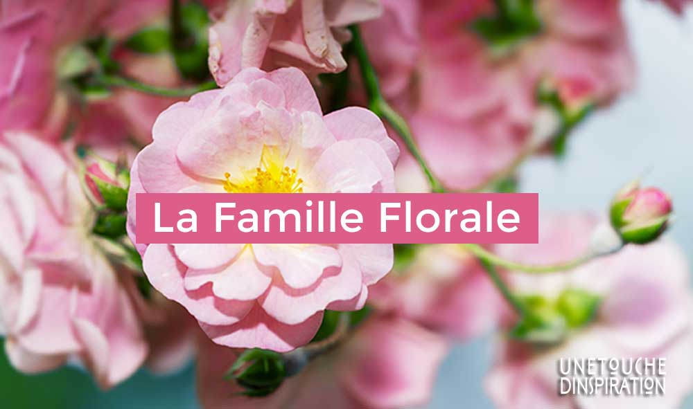 La Famille Florale