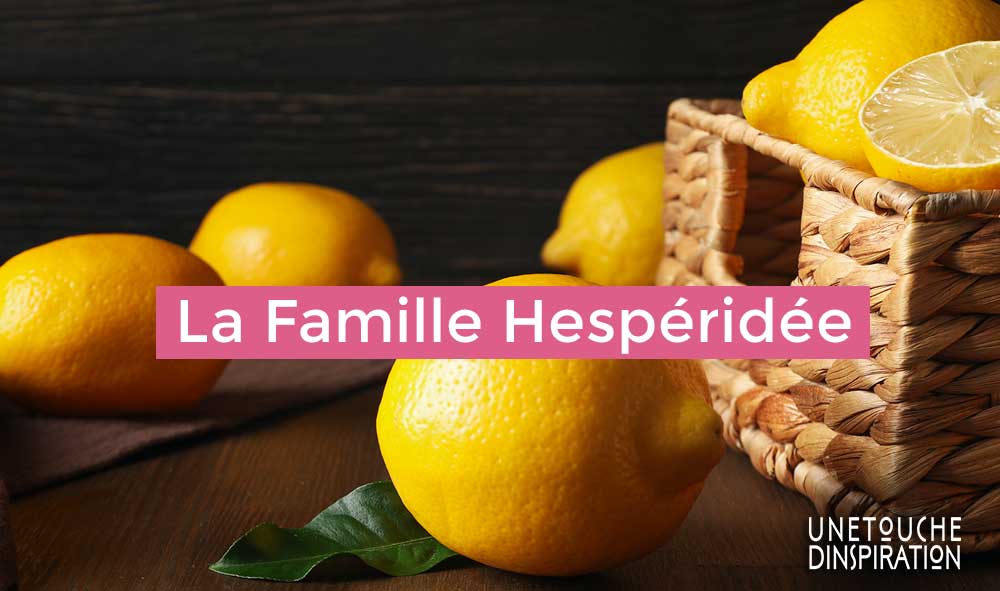 La Famille Hespéridée