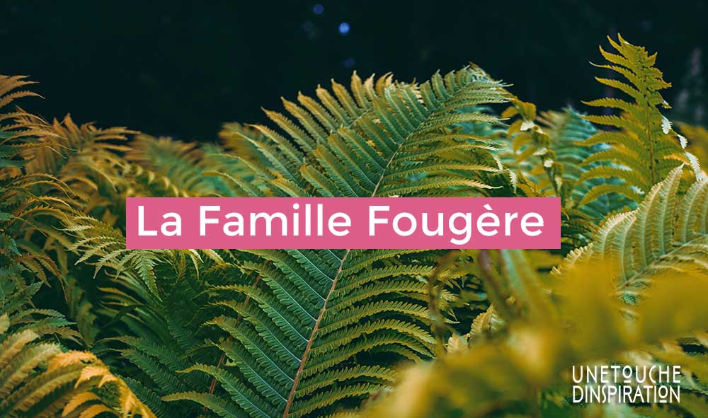 La Famille Fougère